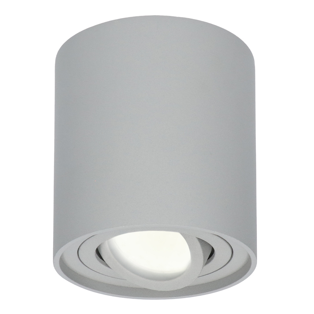 Ray LED Opbouwspot - 4W 345lm - Kantelbaar - 4000K - IP20 - Dimbaar - GU10 - Grijs