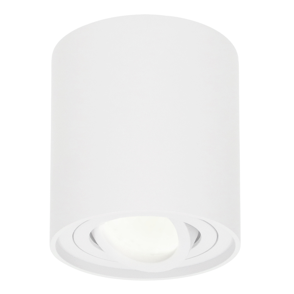 Ray LED Opbouwspot - 4W 345lm - Kantelbaar - 4000K - IP20 - Dimbaar - GU10 - Wit