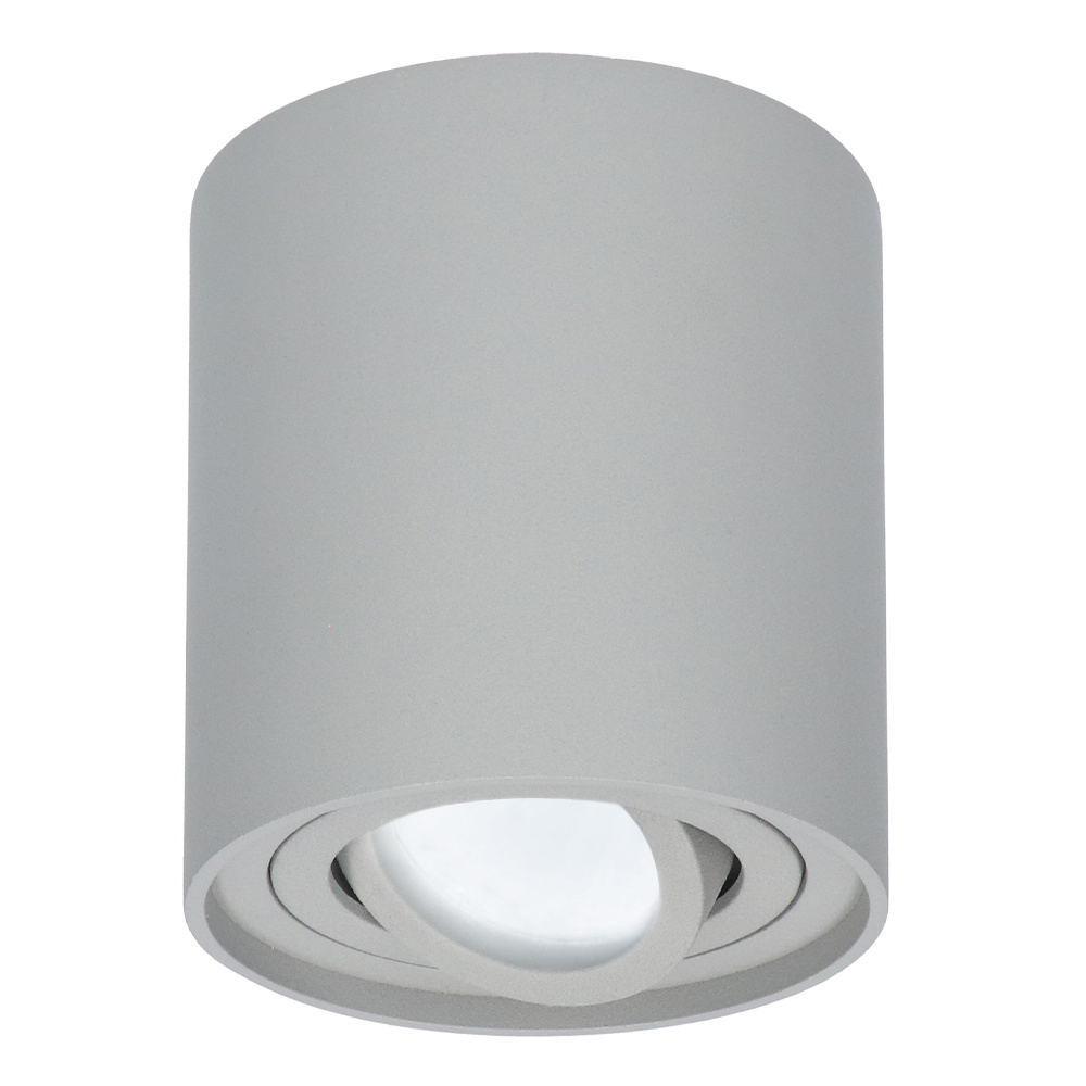 Ray LED Opbouwspot - 4W 345lm - Kantelbaar - 6500K - IP20 - Dimbaar - GU10 - Grijs