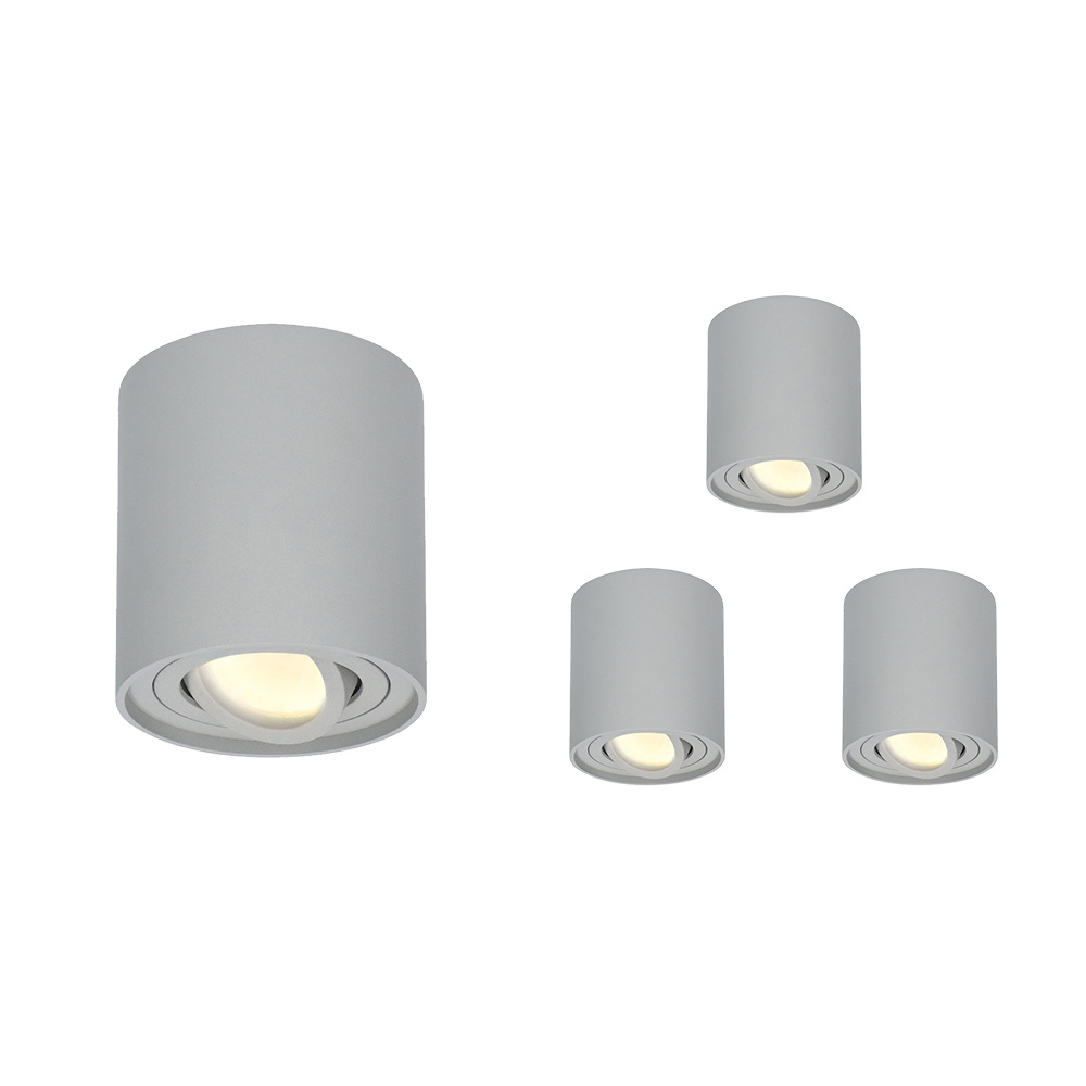 4x Ray LED Opbouwspots - 4W 345lm - Dimbaar - GU10 - Kantelbaar - 2700K - IP20